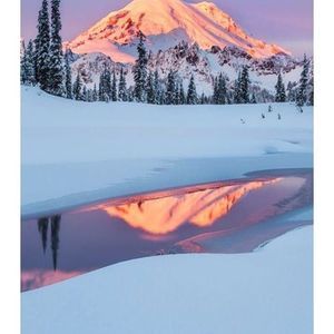 Meet your Posher, Fernando